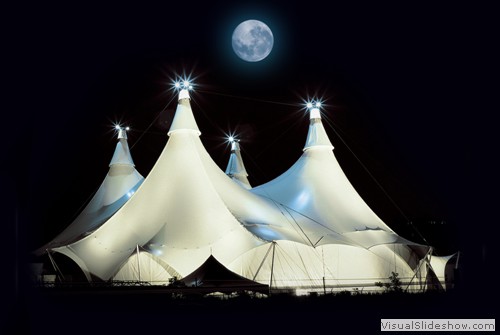Cavalia