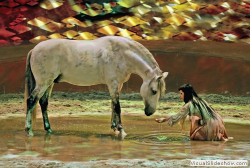 The Discovery