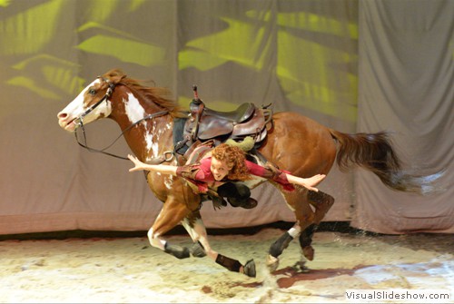 Trick Riding