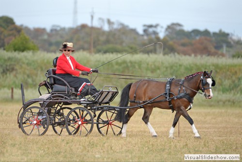 Elizabeth Trigg competing in Novice Small Pony dressage