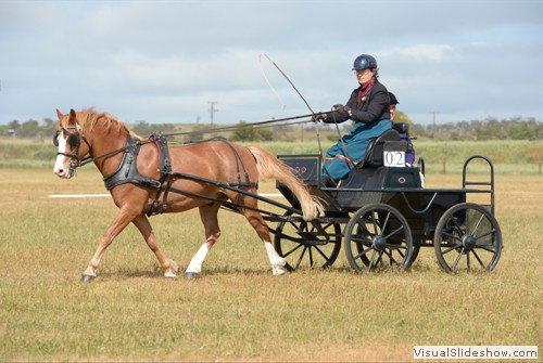 Judy Carr competing in Novice Big Pony dressage