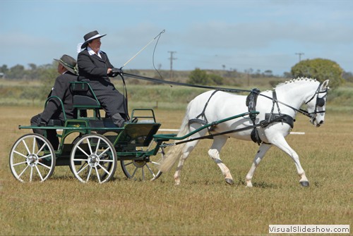 Di Jones competing in Novice Big Pony dressage