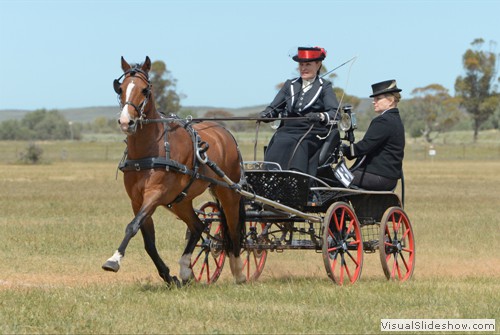 Anne Lindh competing in Open Big Pony dressage