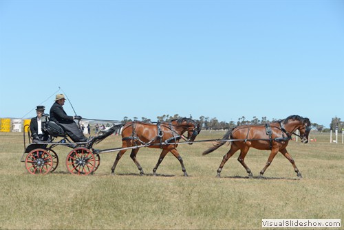 Gavin Robson competing HC in dressage
