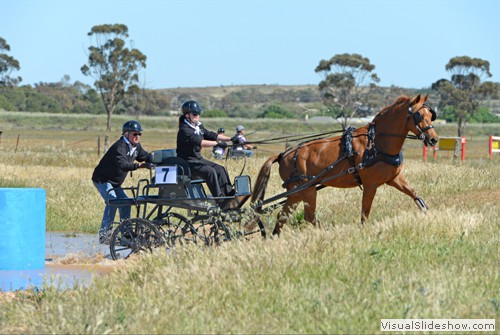 Ellie Crossley competing in Novice Big Pony marathon