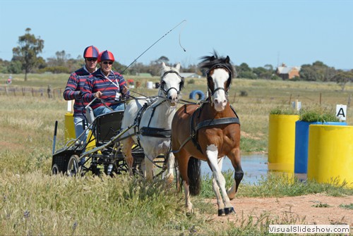 Linden Barrey competing in Pony Tandem marathon