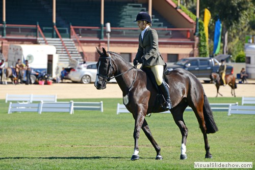Kerry Micke riding �Boongala Flashman� went on to win Champion Mitavite SA newcomer Show Hunter Hack over 15hh.