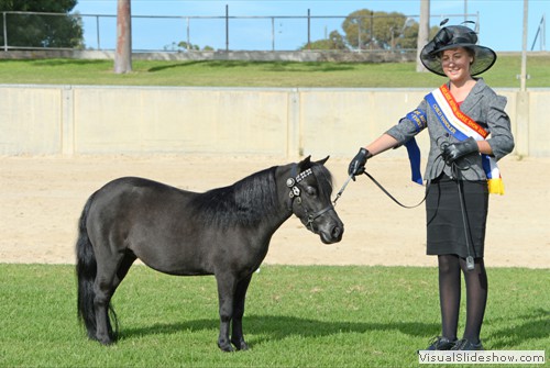 Champion Child Handler A Neville with �Midgetwood Matilda� exhibited by A&C Neville
