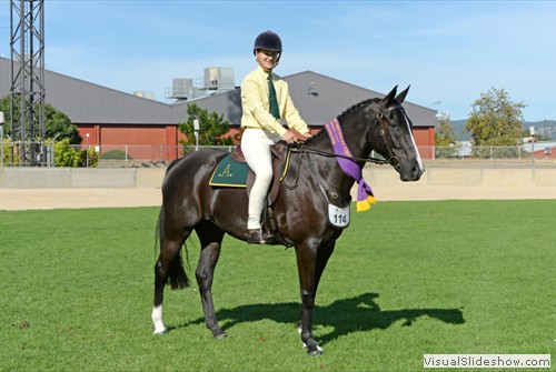 Reserve Champion Ridden Australian Stock Horse �Boongala Flashman� exhibited by LF, LM & KM Micke