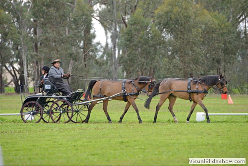 Nicole Allen driving �Naruni Park Bambi� & �Calibrad Ministral Lad�