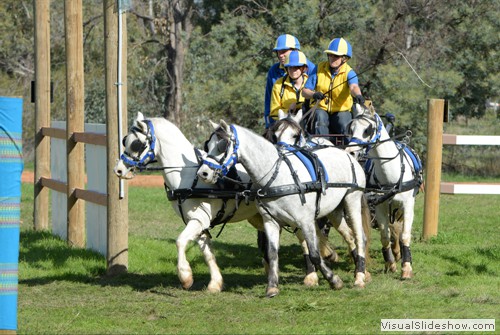 Karen Rogers driving �Ripple Brook Token�, �RB April�, �RB Cobber� & �RB Aplique�