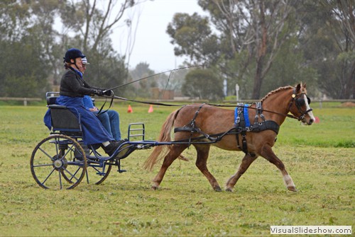 Denise Frahn, equal 1st place winner in the Novice Pony 121cm & ne 149cm marathon competition