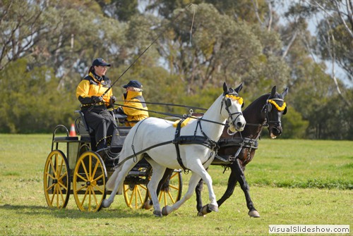 Kim Norris, overall winner of the Horse Multiples over 149cm class