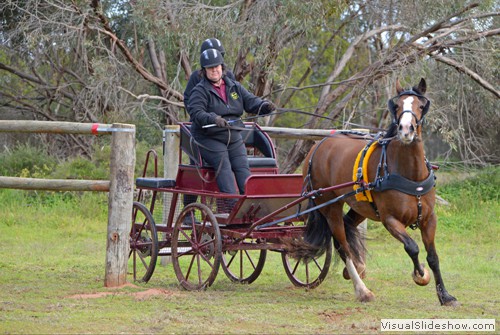 Beth Mann, winner of 1st place in the Novice Horse over 149cm marathon competition
