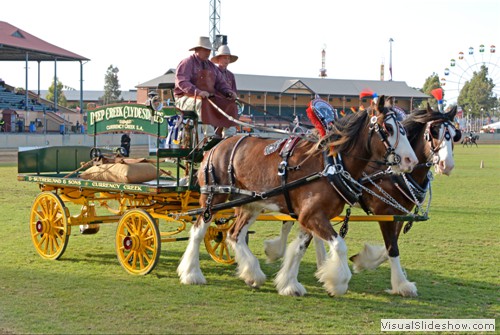 Supreme Champion Tradesman Delivery - �Lowanvale Sam� & �McMurchie Dunfirmline� exhibited by Sutherland, LD & CD