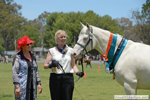 Judge Marianne Grace (TAS) with Grand Champion Cremello/Perlino �Goldmine Latte� exhibited by Jenni Phillips
