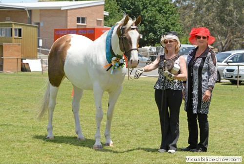 Judge Marianne Grace (TAS) with Grand Champion Non Solid Dilute �Corio Park Cherokee� exhibited by Vicki Hurst