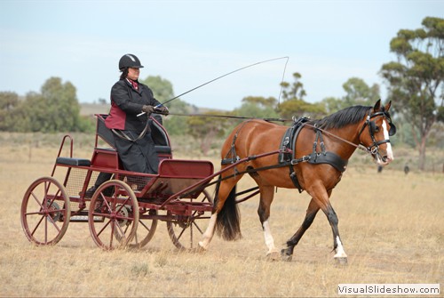 Beth Mann driving �Tessa of Mannaroo�