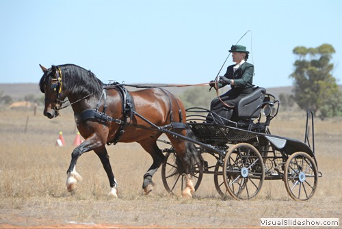Jackie Boyd driving �Pennant Hew�