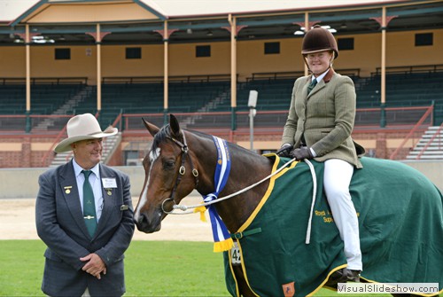 Supreme Champion Ridden Australian Stockhorse �Kardinia Jackman� exhibited by Carrigan-Walsh Family