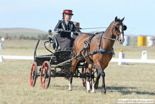 Anne Lindh driving �Beauwood Specialty�
