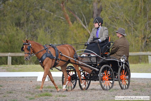 Rhys Vaudin driving �Rivington Northstream� in the dressage