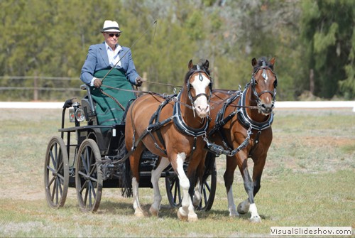 Linden Barrey driving �Greenwood Nutcracker� and �Cataraqui Magical Amulet� in the dressage