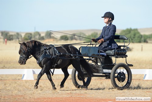 Carol Mercer driving 