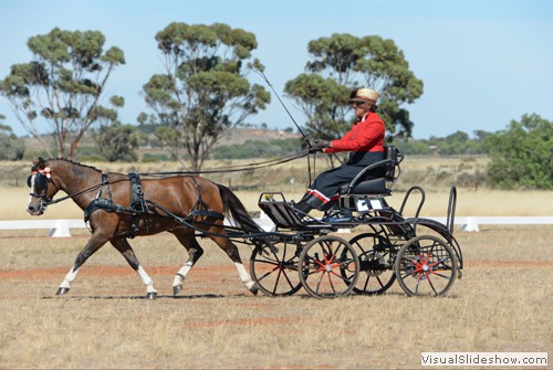 Liz Trigg driving �Loch Sloy Sydney�