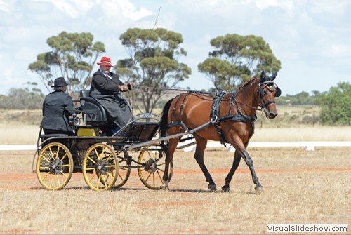 Anne Perry driving �Pangkala Miss Missy�