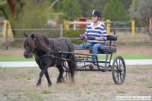 Rosemary King driving 'Rainbow Park Thelma'