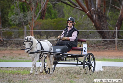 Cate Goodall driving 'Wuriyuringa Rose'