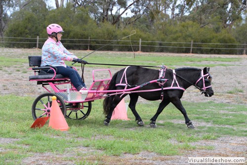 Jill Billett driving 'Golden Shoes Caitlyn's Diamond'