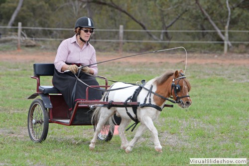 Cate Goodall driving 'Chamel Fields Maestro'
