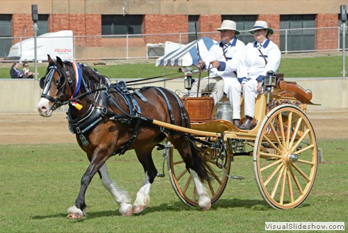 Champion Delivery Horse