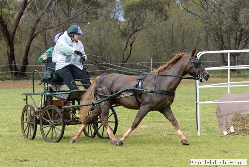 Leonie Hartshorne driving �Nanardine Monty�