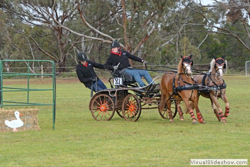 Rhys Vaudin driving �Shrangrala RPS Rockstar� and �Dalpura Parasol�