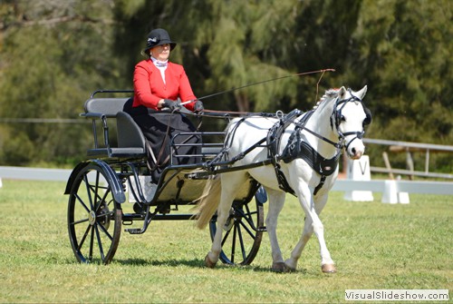 Bernadette Lewis (VIC) driving �Astro Star�