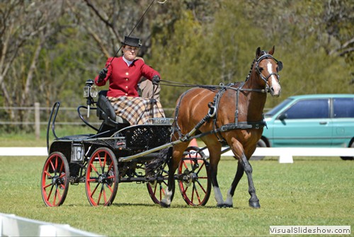 Anne Lindh driving �Beauwood Specialty�