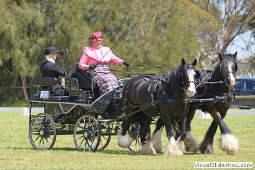 Mandy Lawrence (VIC) driving �Ambleside Talisker� and �Ambleside Finnlaggan�
