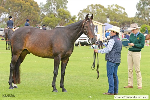 Eleanor Edwards during the ASHS Junior Judging class