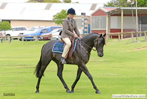 Janita Edwards riding �Chalani Tempo� during the Ridden hack 4yo maturity class