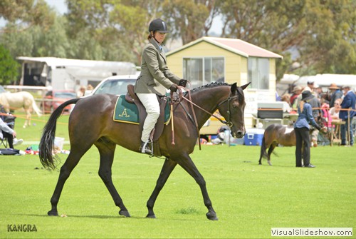 Natalie McGiffert 832  �Glen Lee Rivoli Matrix�  Ridden working 6yo & over maturity