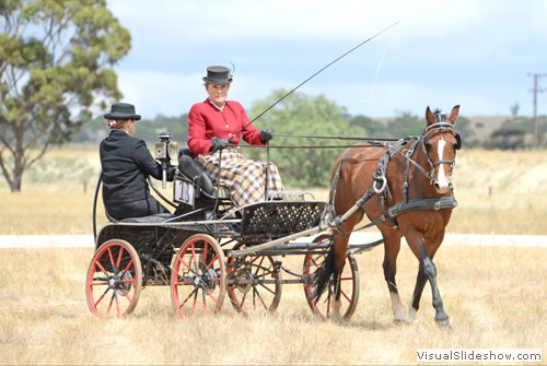 Anne Lindh driving �Beauwood Specialty�