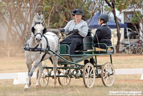 Robyn Rainey driving �Jake�