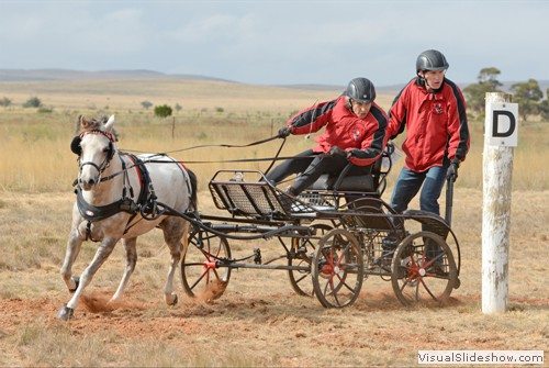 Elizabeth Trigg driving �Marnna Park Up Beet�