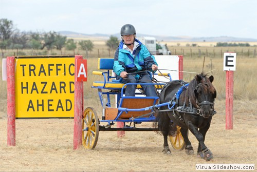 Judi Carr driving �Sir Ollie of Grammies Place�