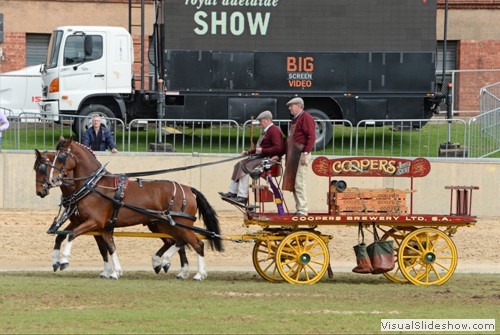 Reserve Champion Multiple Trade/Delivery Heavy Harness Turnout �Mr Darcy� & �Mr Brock� exhibited by Strafford P. & Keogh M.