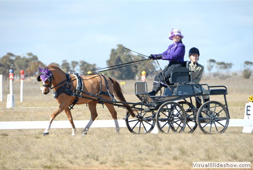 Ellie Crossley driving �Tenara Springs Twilight�
