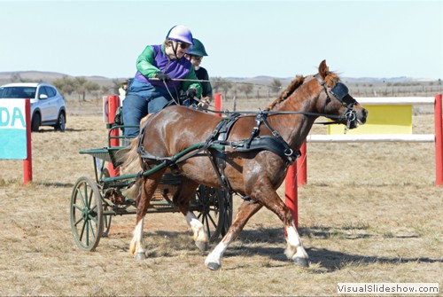 Leonie Hartshorne driving �Nanardine Monty�